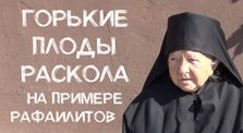 ce1c4840 17c0 40a4 86ac 96a7dead900f - Рафаил (Берестов), Онуфрий (Веласкес), Димитрий (Прохин) - кто они на самом деле?